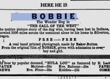 Bobbie