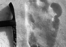 bigfootinthesnow