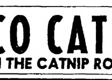 calico banner